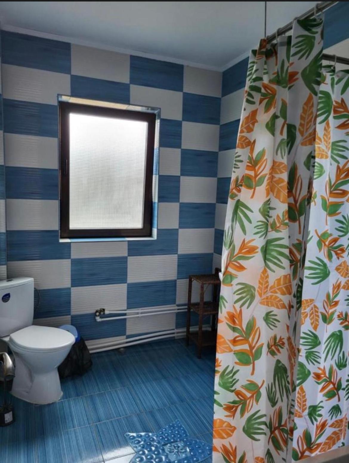 Appartement Casa Raraului à Câmpulung Moldovenesc Extérieur photo