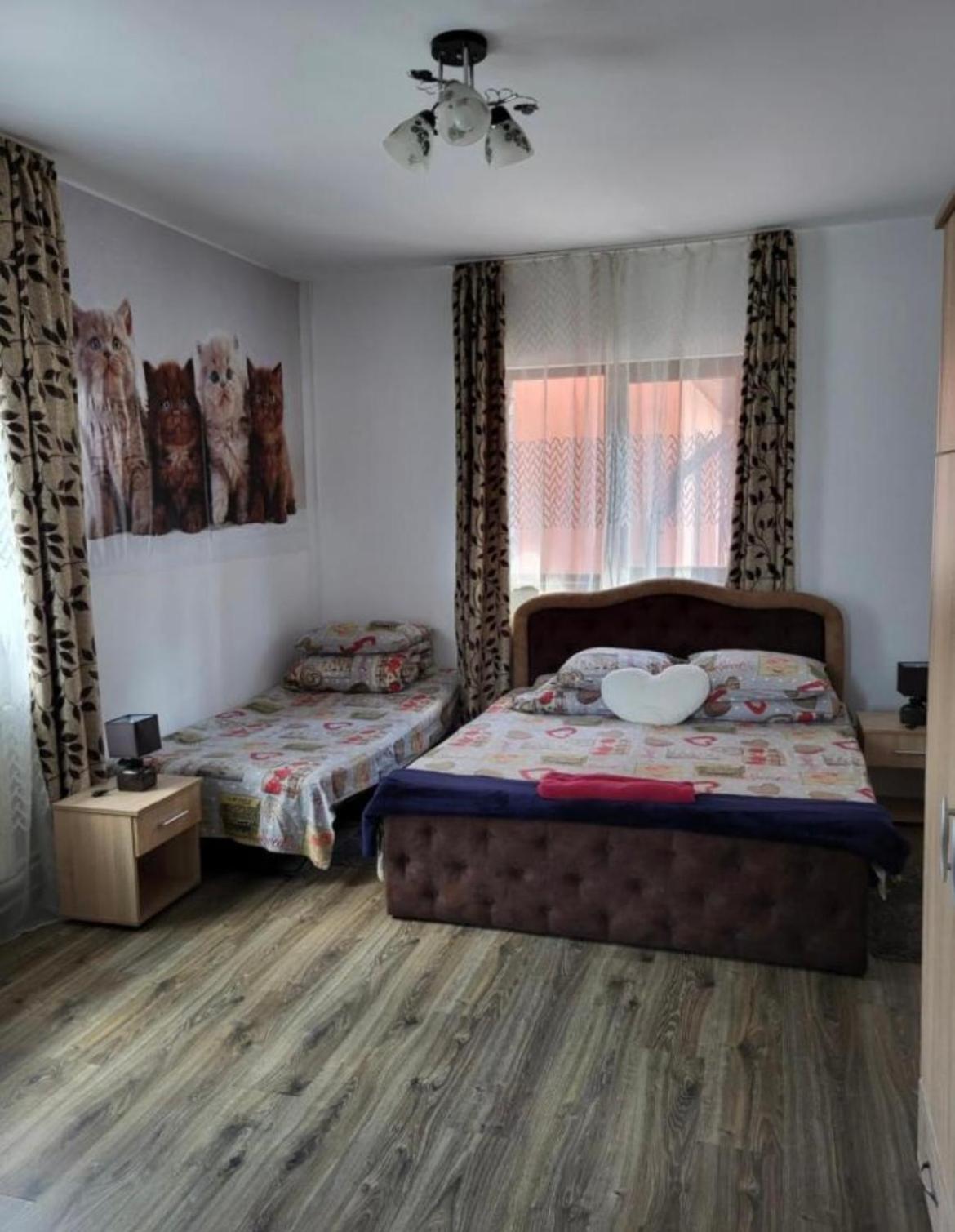 Appartement Casa Raraului à Câmpulung Moldovenesc Extérieur photo