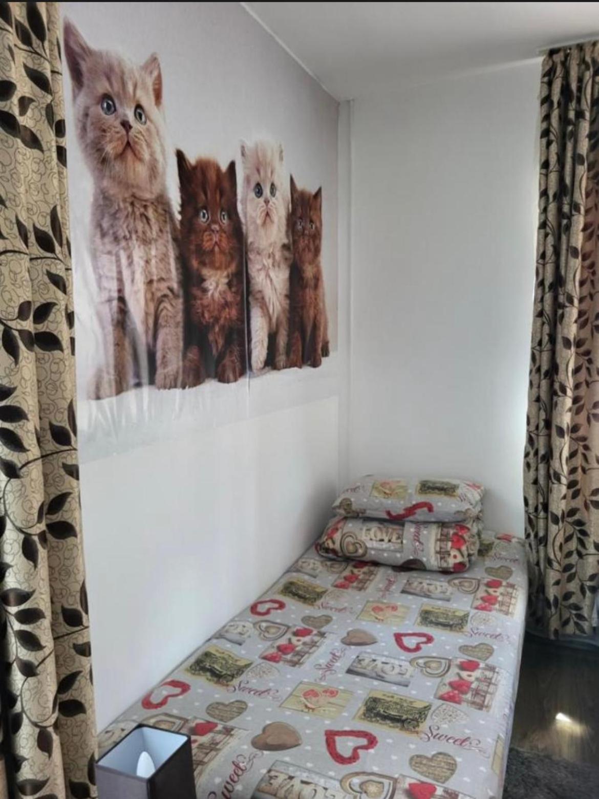 Appartement Casa Raraului à Câmpulung Moldovenesc Extérieur photo