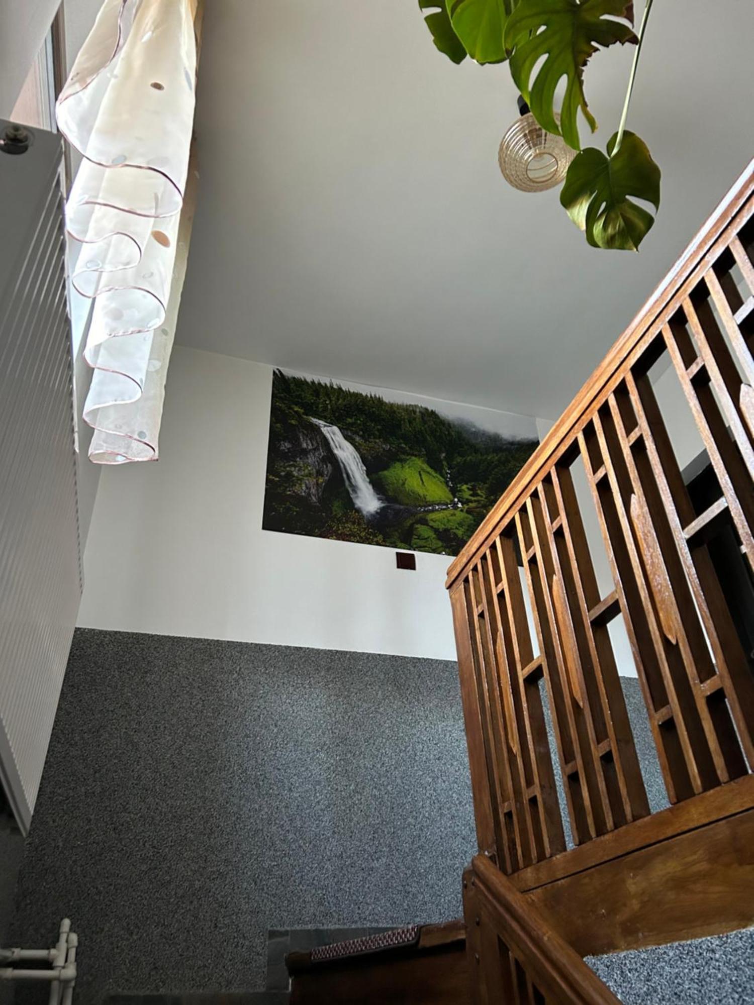 Appartement Casa Raraului à Câmpulung Moldovenesc Extérieur photo